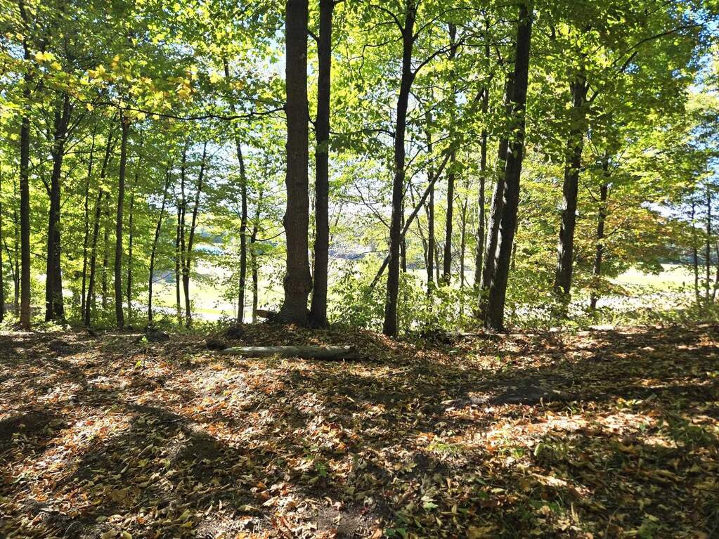 0013 Heather Ridge Trail, Beulah, MI 49617 - View 5