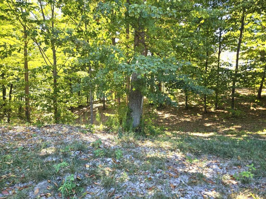 0013 Heather Ridge Trail, Beulah, MI 49617 - View 6