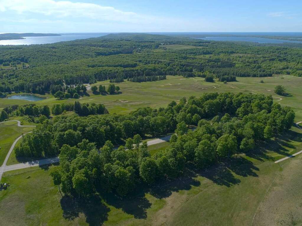 0013 Heather Ridge Trail, Beulah, MI 49617 - More