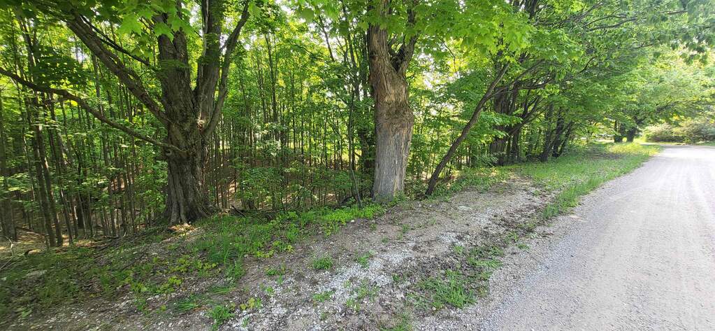 TBD Veldkamp Lane, Central Lake, MI 49622 - View 2