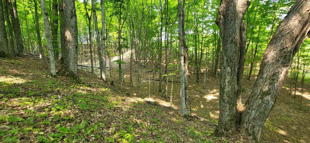 TBD Veldkamp Lane, Central Lake, MI 49622 - View 3