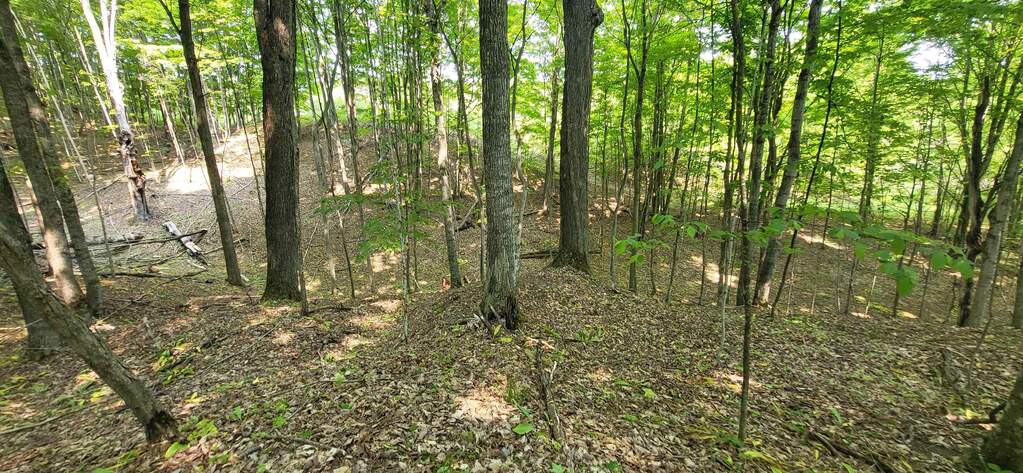 TBD Veldkamp Lane, Central Lake, MI 49622 - View 5