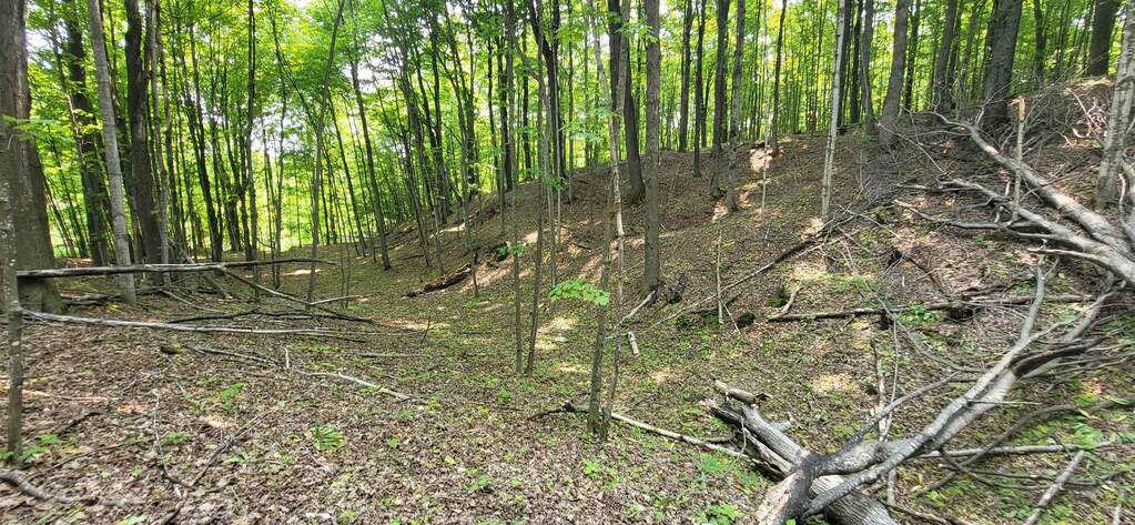 TBD Veldkamp Lane, Central Lake, MI 49622 - More