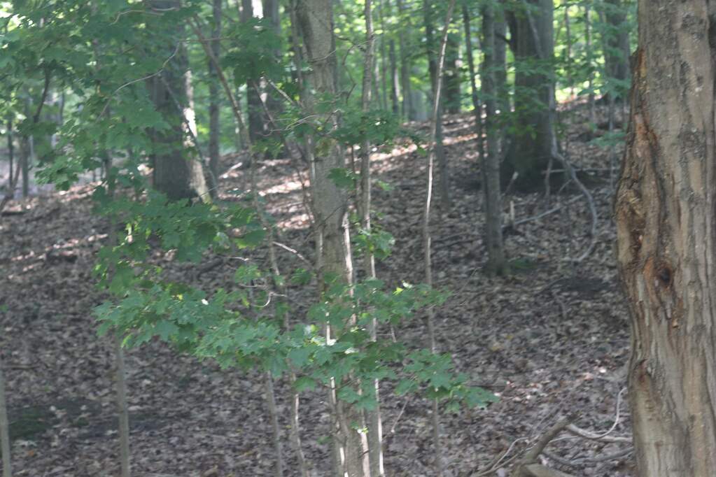Lot 20 Crystal View, Beulah, MI 49617, Beulah