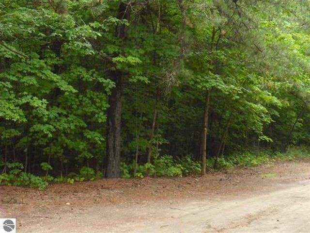 Parcel F4 Jackson Creek Road, Kingsley, MI 49649, Kingsley