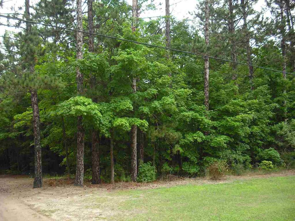 Parcel F3A Jackson Creek Road, Kingsley, MI 49649