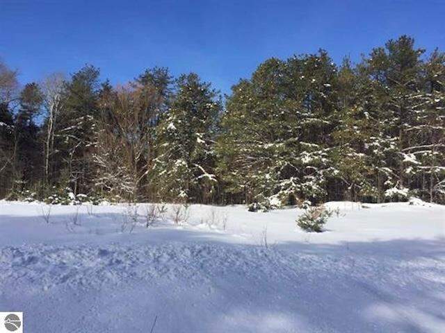 Parcel F3A Jackson Creek Road, Kingsley, MI 49649 - View 3