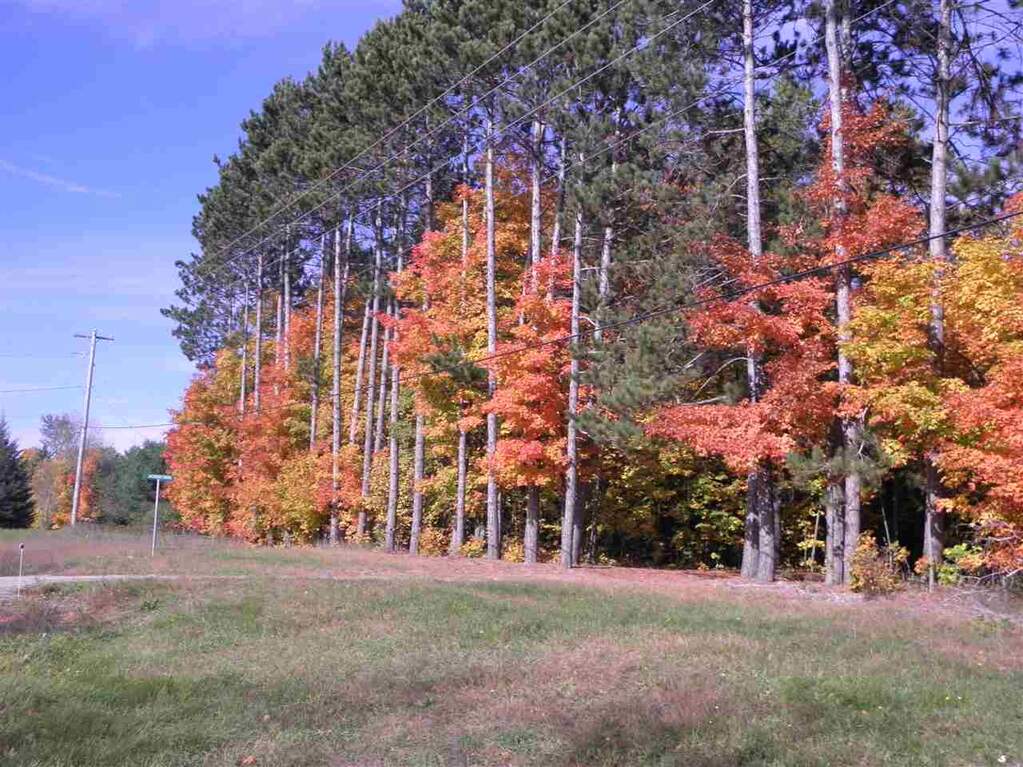 Parcel F3A Jackson Creek Road, Kingsley, MI 49649 - View 4