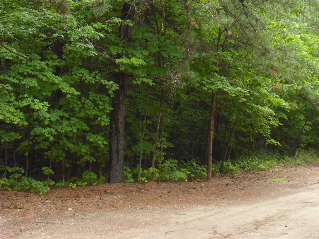 Parcel F3A Jackson Creek Road, Kingsley, MI 49649 - View 5