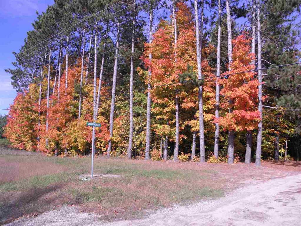 Parcel F3A Jackson Creek Road, Kingsley, MI 49649 - More