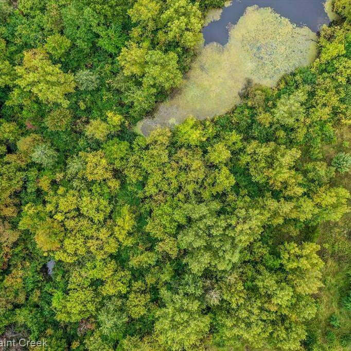 6095 Whispering Meadows Drive, White Lake Twp, MI 48383 MLS