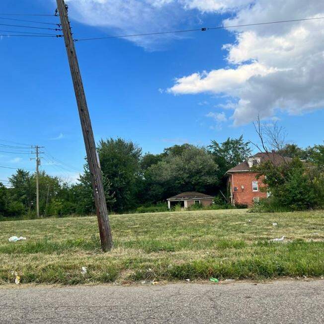 2229 W Grand Boulevard, Detroit, MI 48208 MLS 81024000476 properties