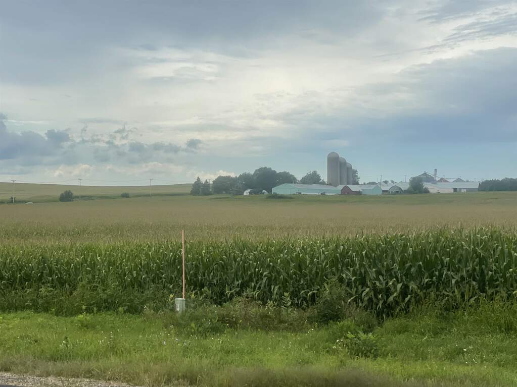 44.55 Acres Highway 60, Arlington, WI 53555 - View 3