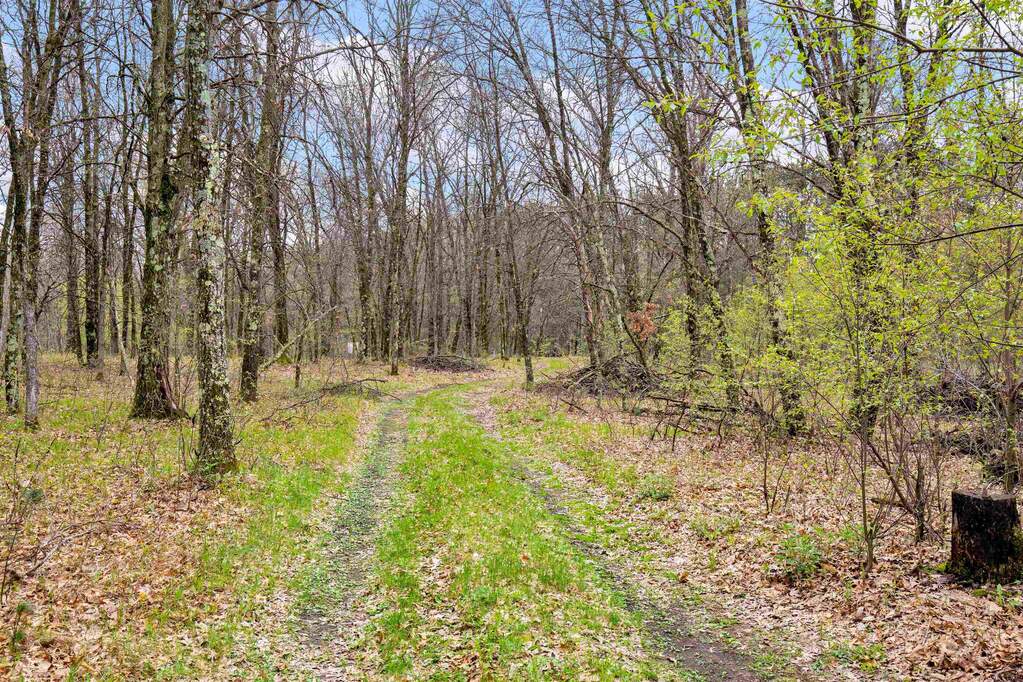 14th Avenue, Nekoosa, WI 54457 MLS 1955559 properties SE Wisconsin