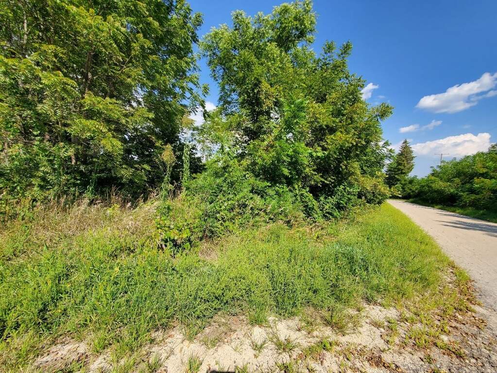 1.6 acres Bridge Street, Browntown, WI 53522 MLS 1963179