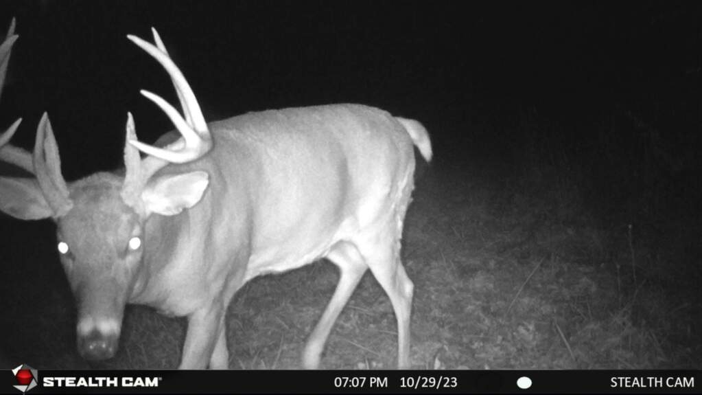 N8438 9th Avenue S, New Lisbon, WI 53950 MLS 1966623 properties