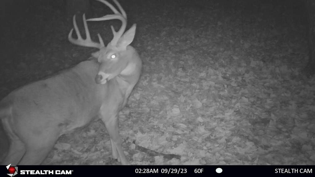 N8438 9th Avenue S, New Lisbon, WI 53950 MLS 1966623 properties