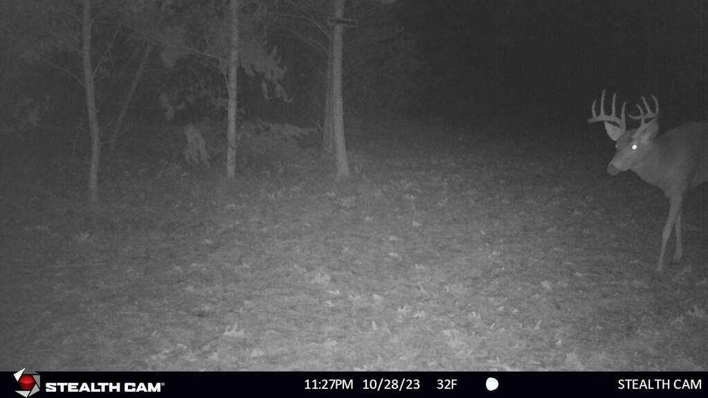 N8438 9th Avenue S, New Lisbon, WI 53950 MLS 1966623 properties