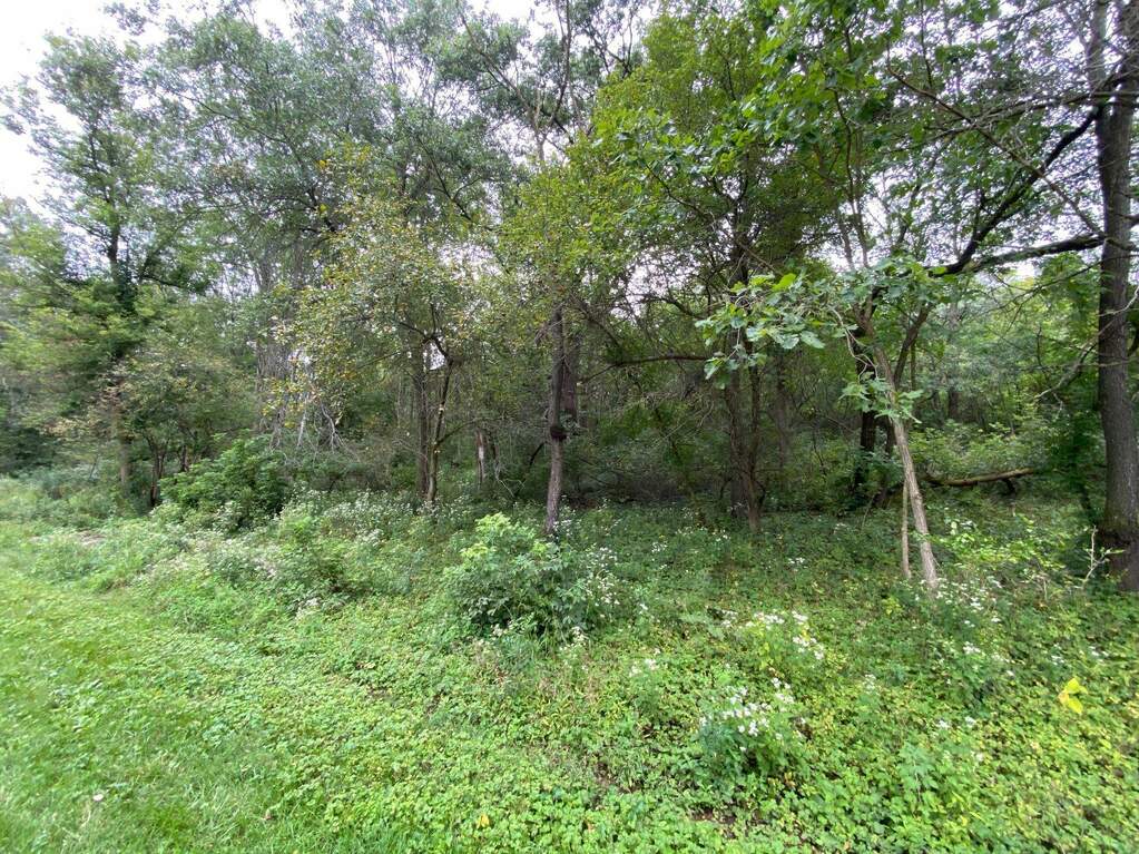 Lot 13 Hidden Valley, Argyle, WI 53504 MLS 1967612 properties SE