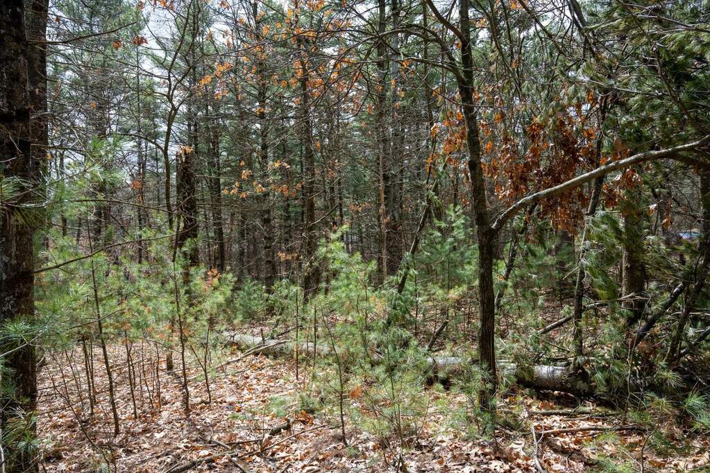 0.52 AC Wisconsin Street, Friendship, WI 53934 MLS 1974471