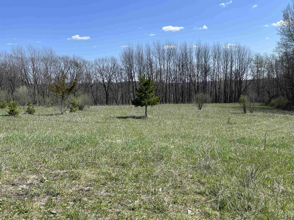 L1074 Bugle Court, La Valle, WI 53941 MLS 1975380 properties SE