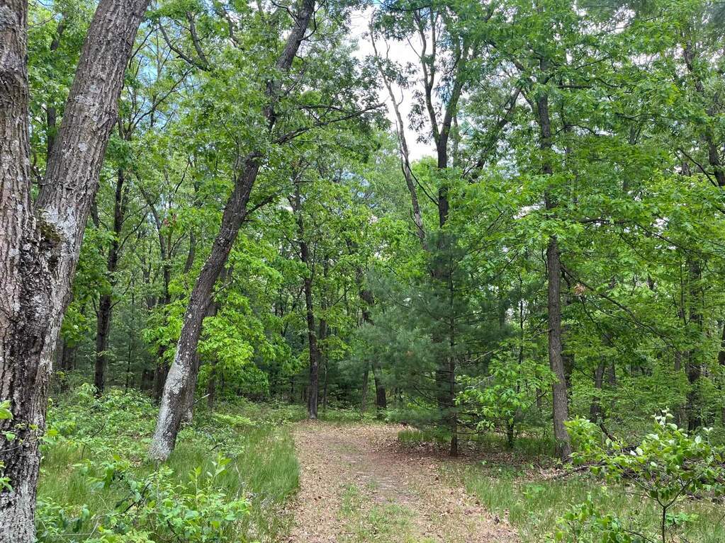 2888 County Road B, Grand Marsh, WI 53936 MLS 1977921 properties