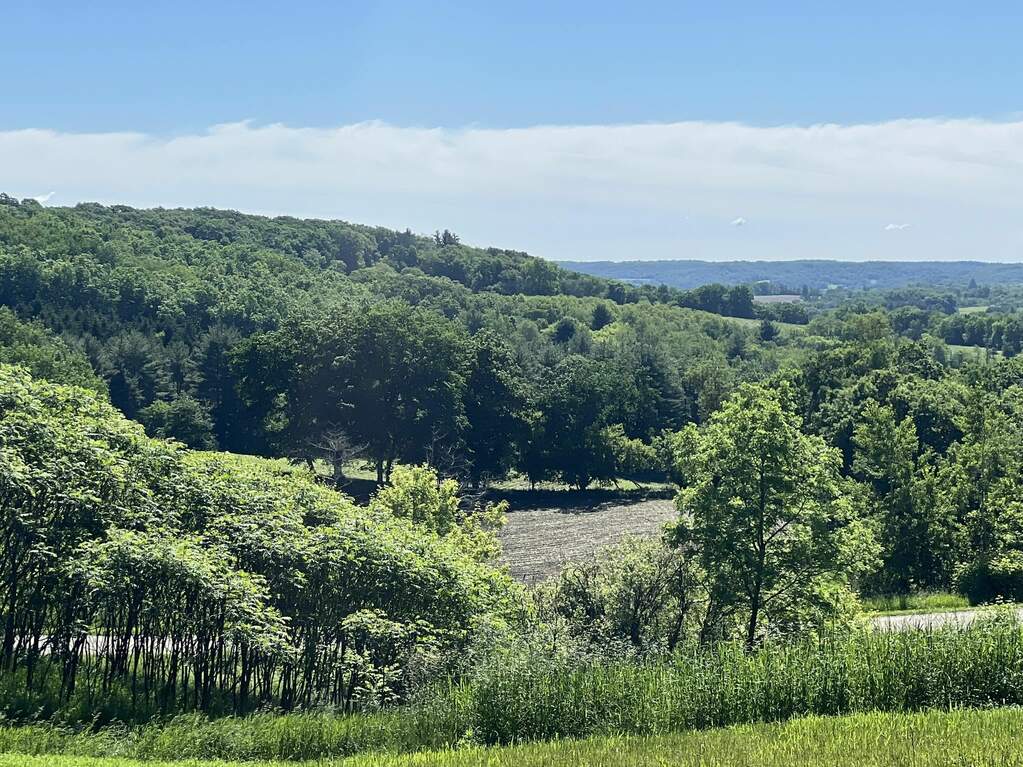 34 Acres Ozone Road, Elroy, WI 53929 MLS 1978977 properties SE