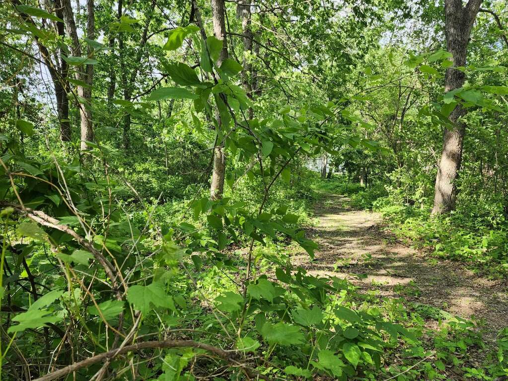 Gingers Drive, Muscoda, WI 53573, Muscoda