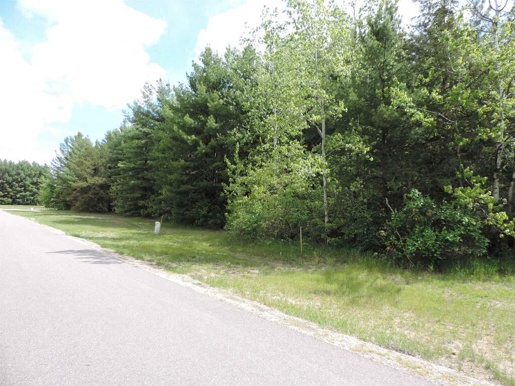 Lot 15 Buck Run Road, Lone Rock, WI 53556 - View 4