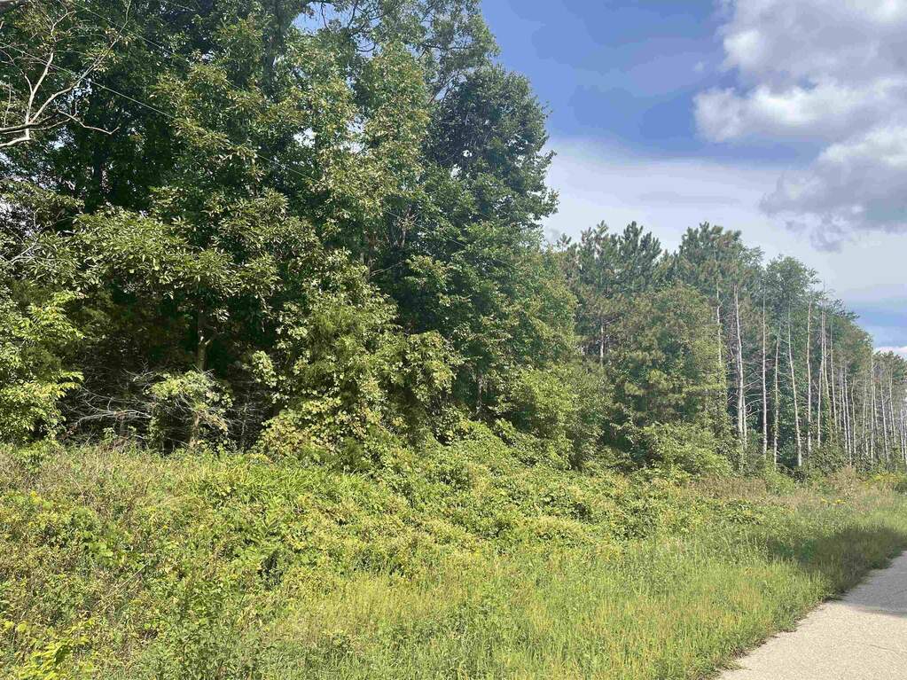 Hwy 81,CARROLL Lots, Orfordville, WI 53576 - View 3