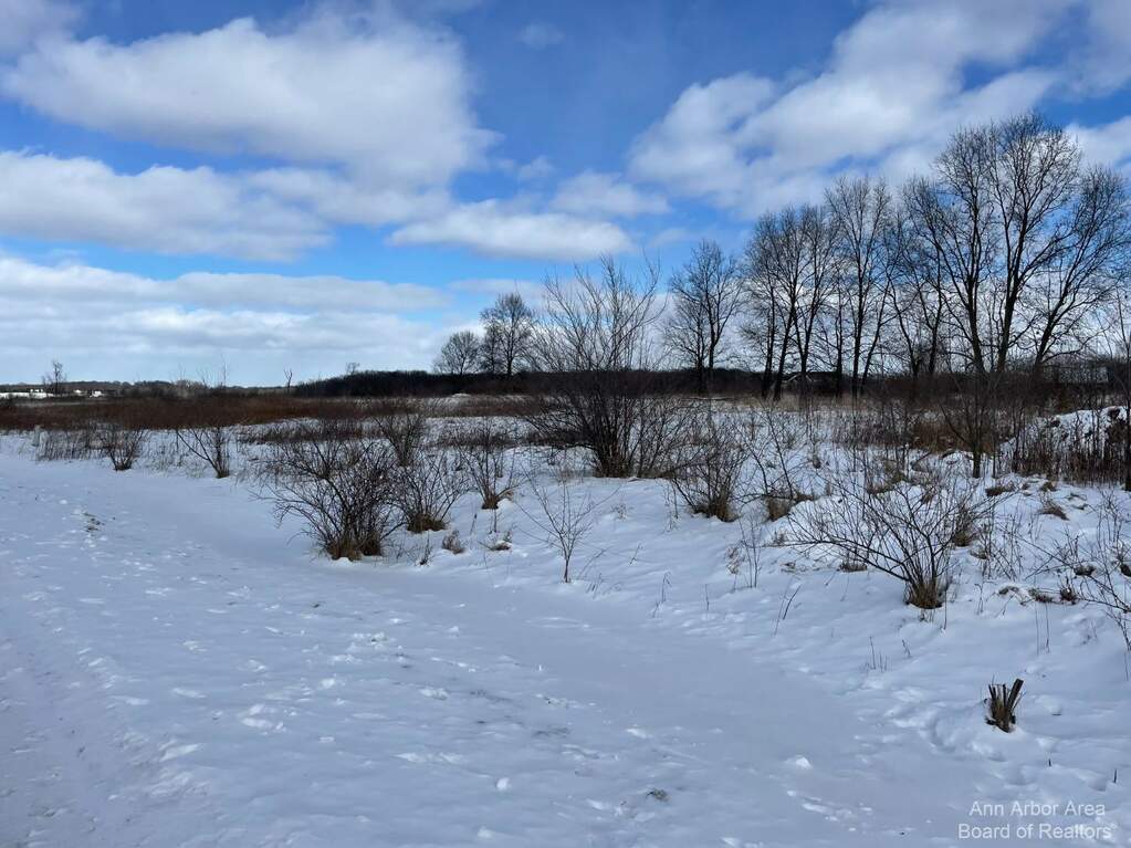 0 Creek Drive, Grass Lake, MI 49240 MLS 14879 properties SW Michigan