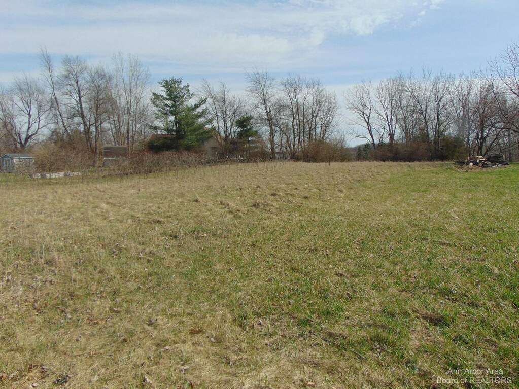 13945 Northmoor Drive, Cement City, MI 49233 MLS 14882 properties