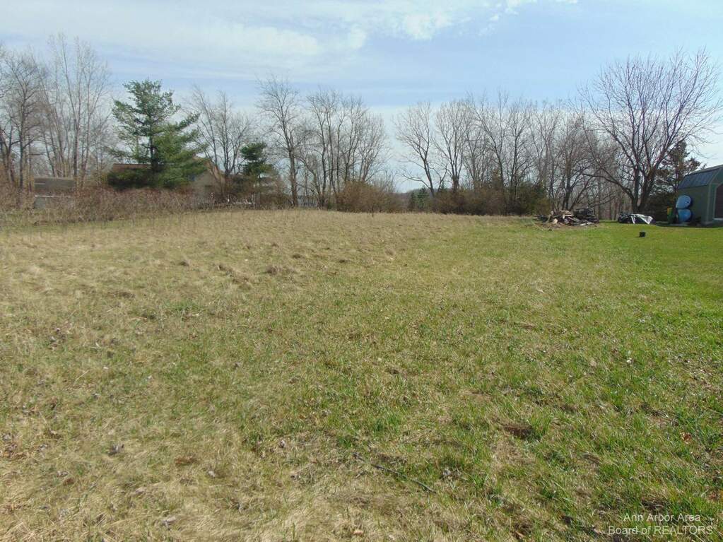 13945 Northmoor Drive, Cement City, MI 49233 MLS 14882 properties