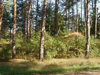 10412 Mountain View Trail #378, Canadian Lakes, MI 49346
