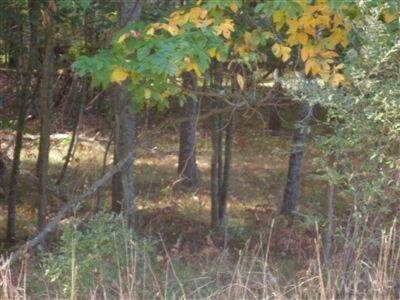 10412 Mountain View Trail #378, Canadian Lakes, MI 49346 - View 2