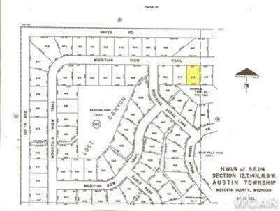 10412 Mountain View Trail #378, Canadian Lakes, MI 49346 - View 3