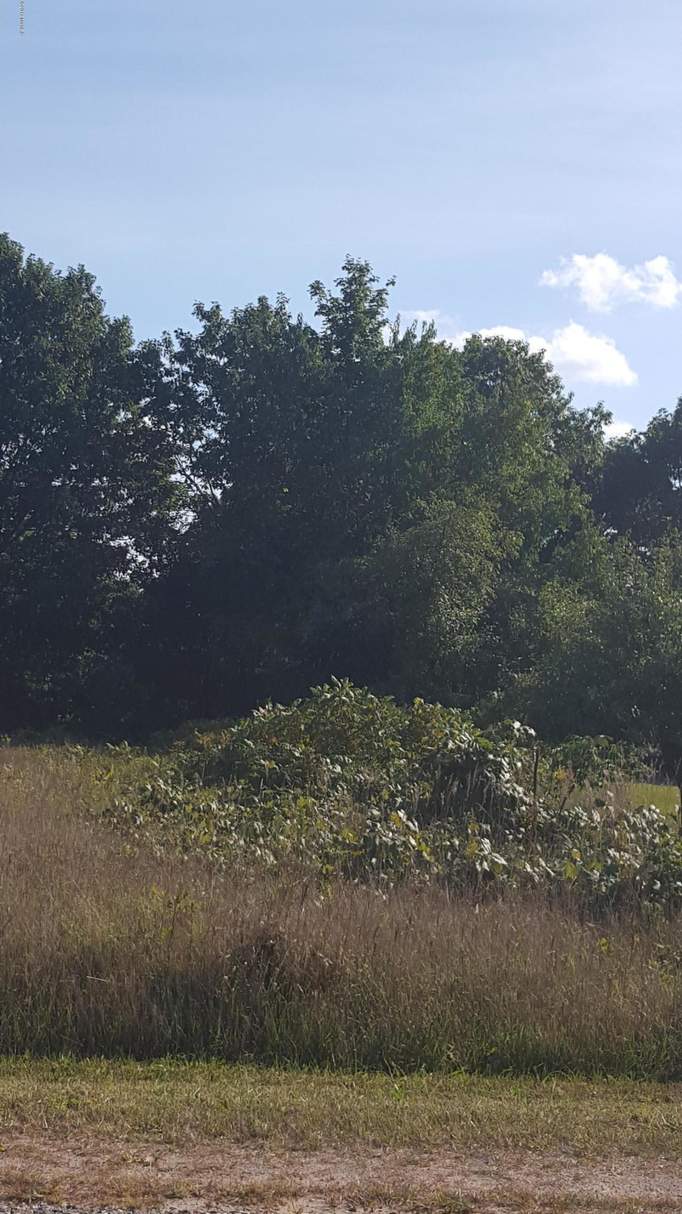 000 Scenic Drive, Honor, MI 49640 MLS 17046131 properties SW Michigan