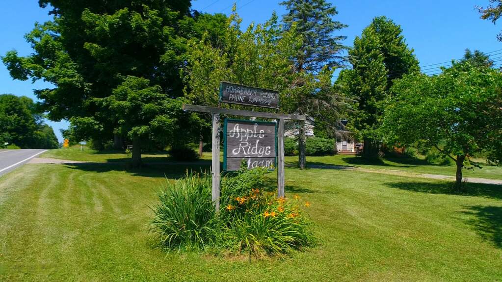 38419 Cr 215, Bangor, MI 49013 MLS 21000633 properties SW Michigan