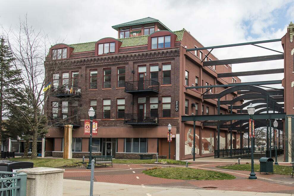 230 N Kalamazoo Mall 203, Kalamazoo, MI 49007 MLS 22009887