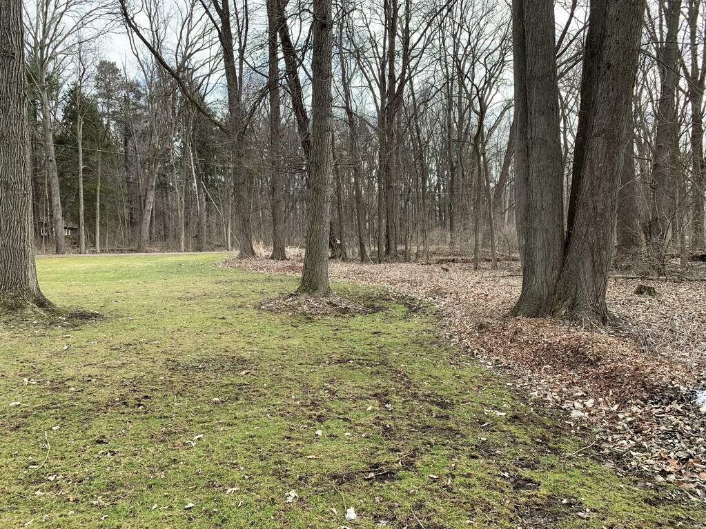 0000 Nottawa Lake Drive, Marshall, MI 49068 MLS 23005047