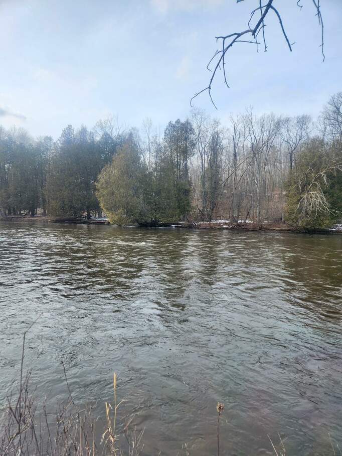 (Address confidential), Hersey, Michigan 49639 MLS 23005303