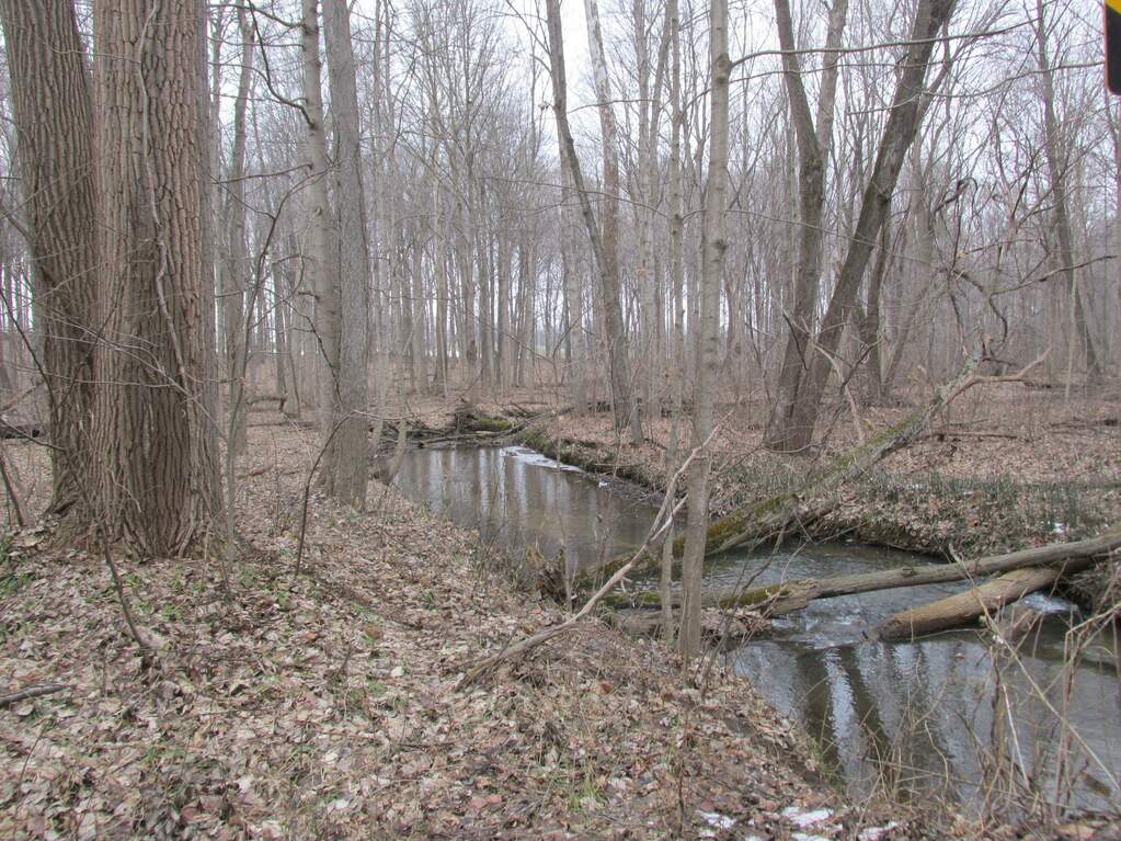 4709 W Olive Branch Road, Galien, MI 49113 MLS 23005342