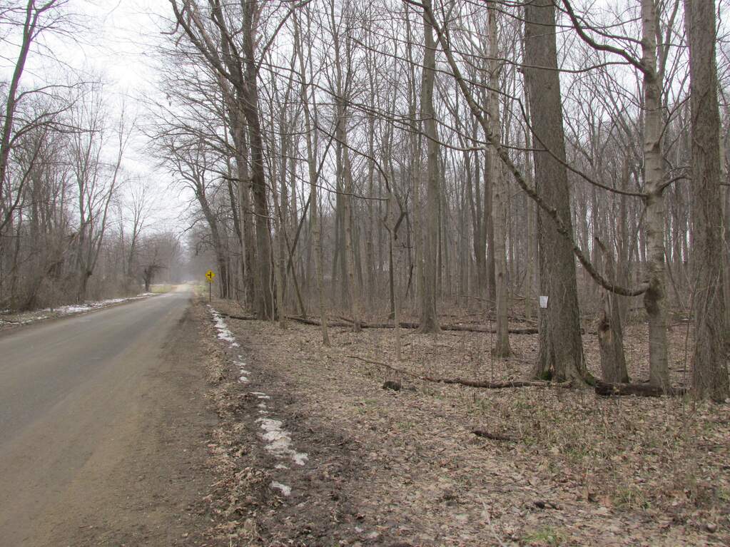 4709 W Olive Branch Road, Galien, MI 49113 MLS 23005342