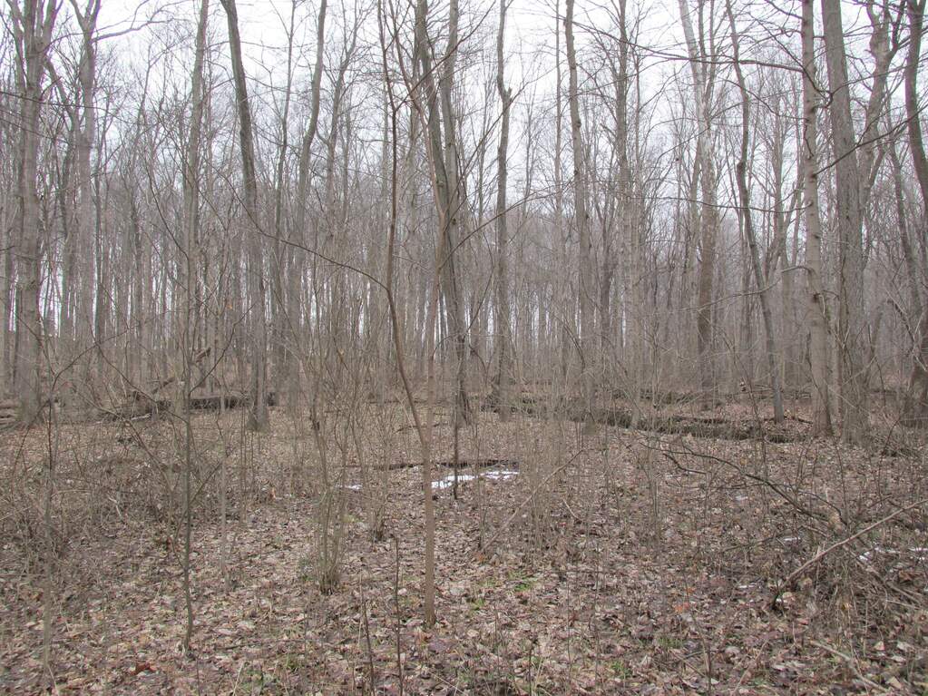 4709 W Olive Branch Road, Galien, MI 49113 MLS 23005342