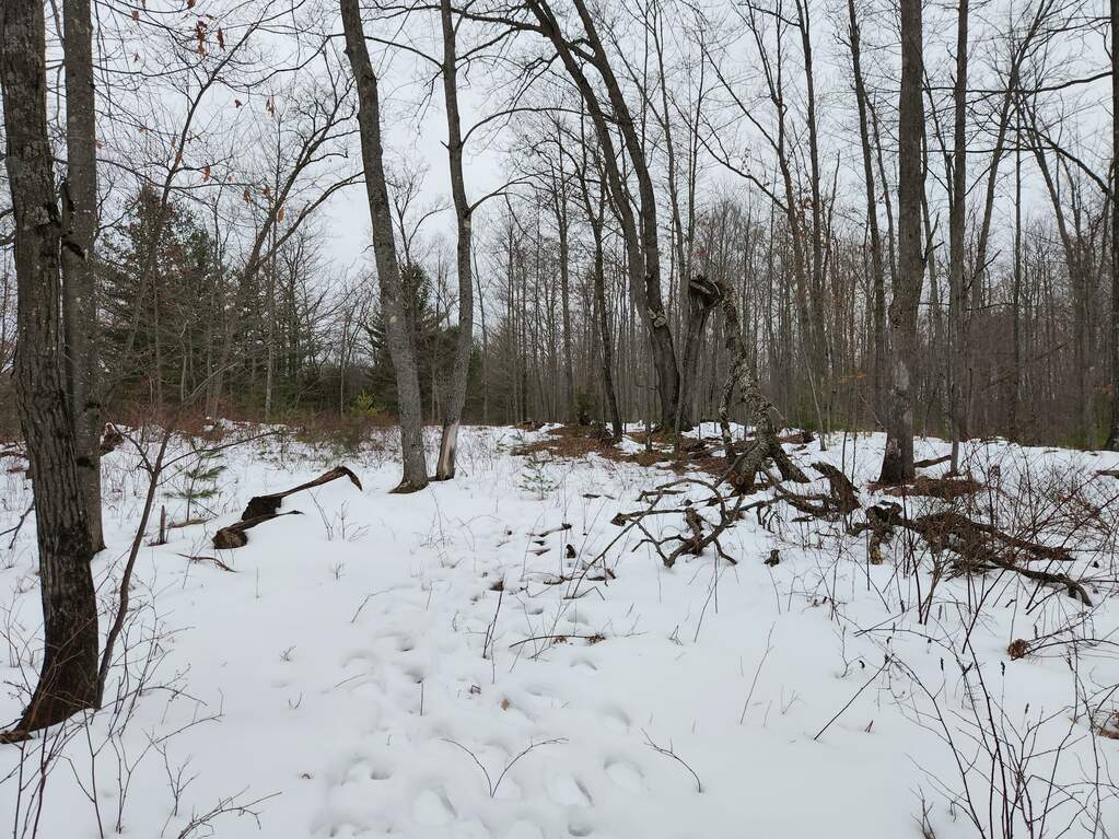 0 E 8th Street, Reed City, MI 49677 MLS 23007052 properties SW