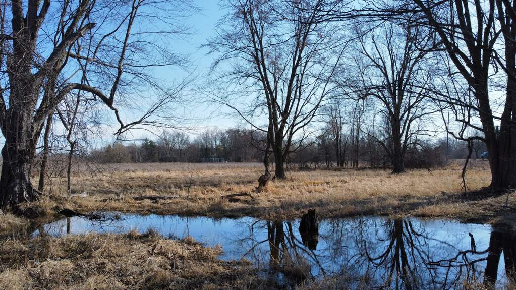 11250 W Grand River Avenue, Fowlerville, MI 48836 MLS 23009347