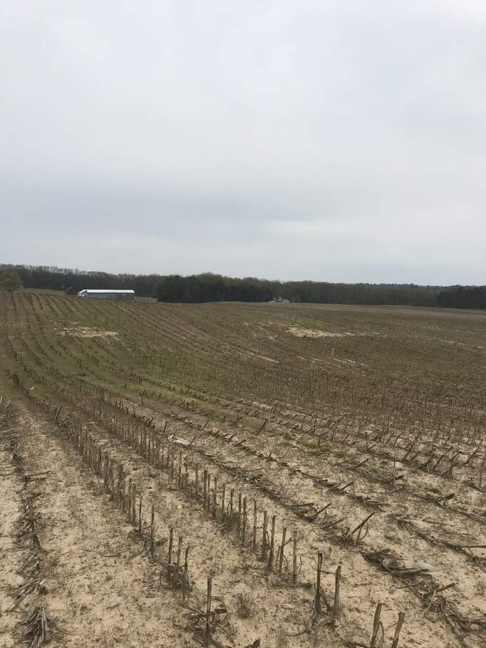 Lot 7 Potters Road, Ionia, MI 48846 MLS 23013574 properties SW