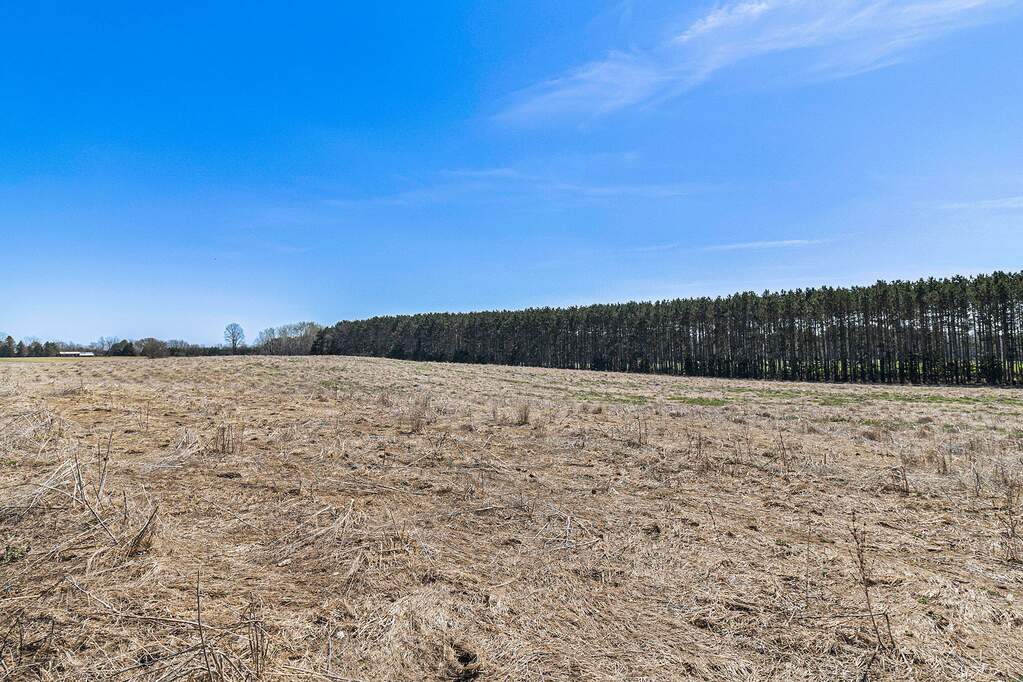 2899 E First (80 Acre Split) Street, Custer, MI 49405 MLS 23016263