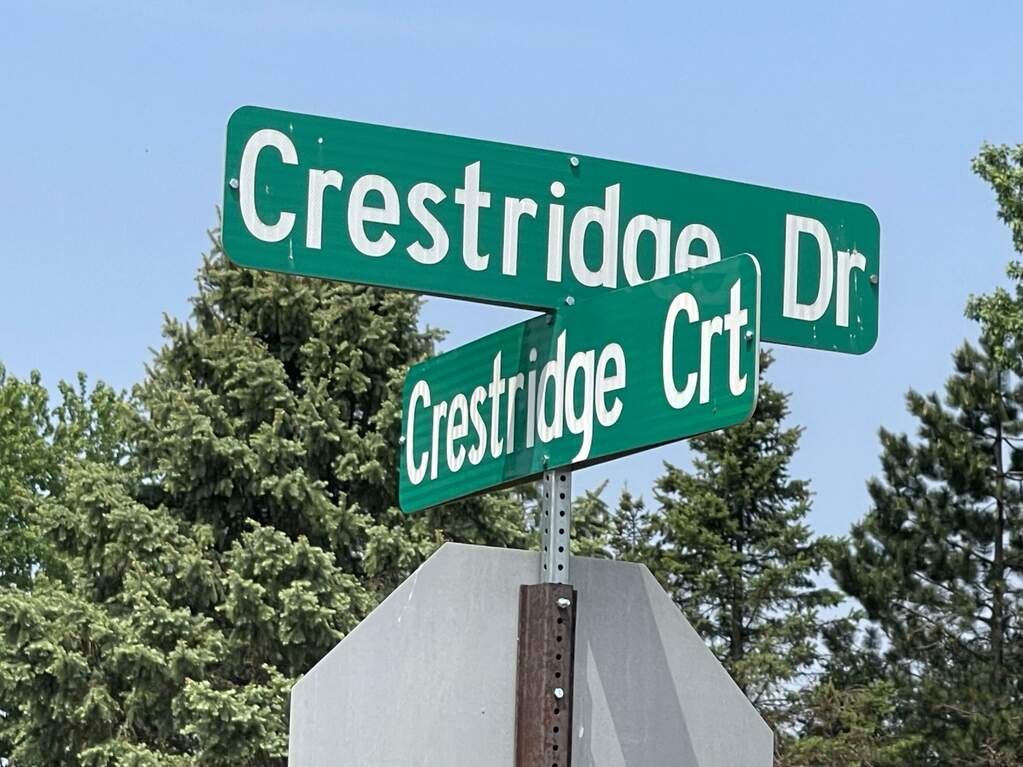 14425 Crestridge Drive, Cement City, MI 49233 MLS 23017537