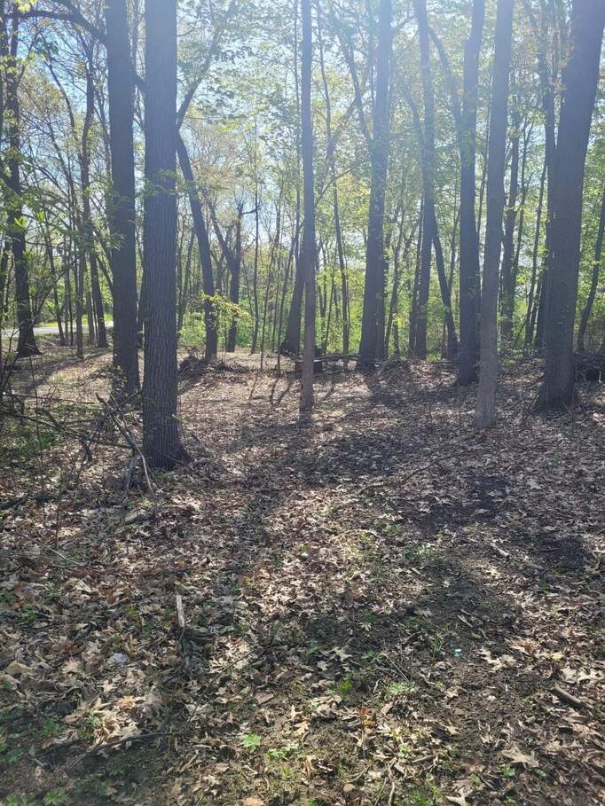 11839 Vicary Road, Jerome, MI 49249 MLS 23028106 properties SW